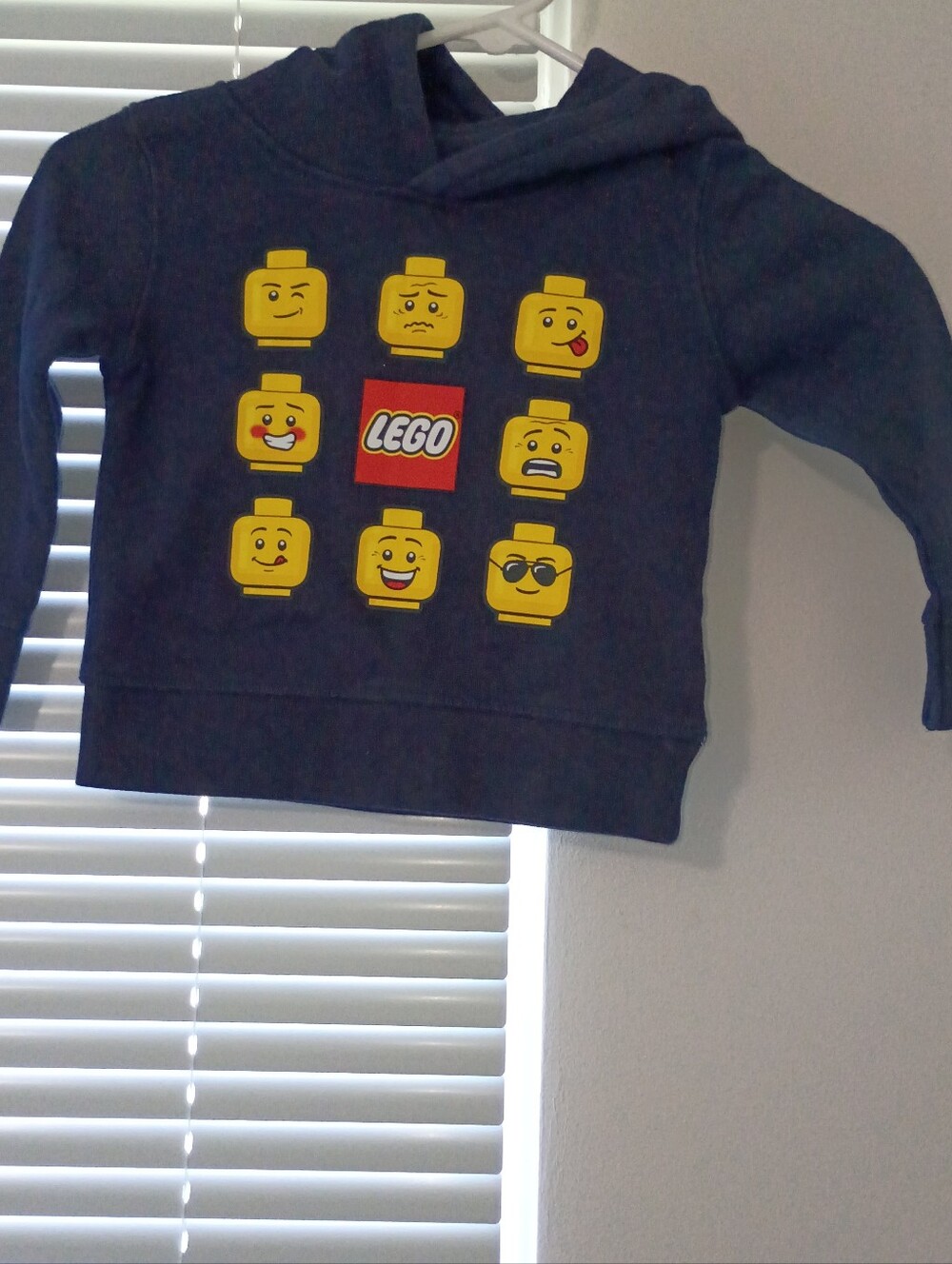Kids 2T LEGOs Hoodie